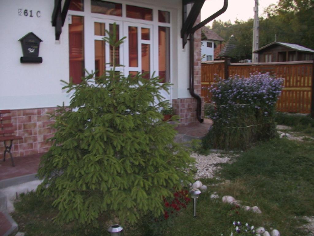 Pension Piatra Craiului Moieciu de Jos Εξωτερικό φωτογραφία